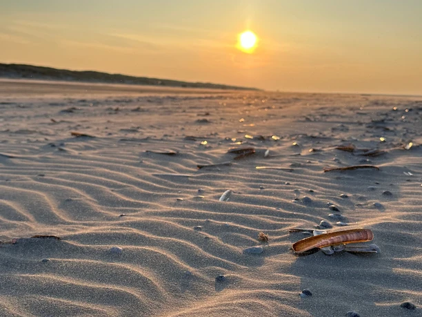 Workshop Kreative Selbstfürsorge auf Juist (3).jpg