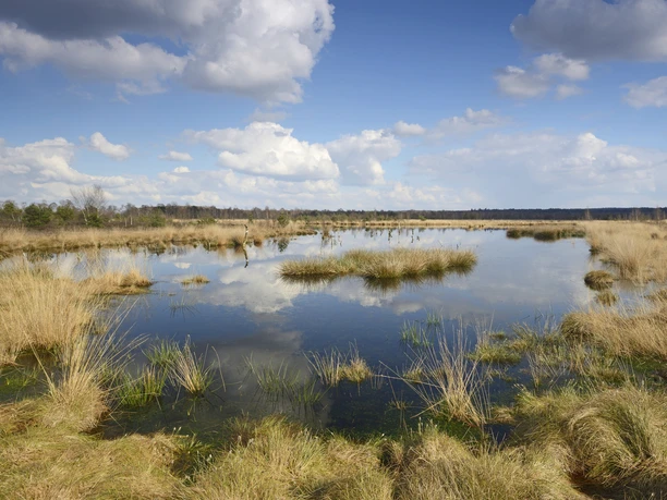 MoorlandschaftNaturparkMoorINP_ErhardNerger_Moorlandschaft_EN141126.JPG
