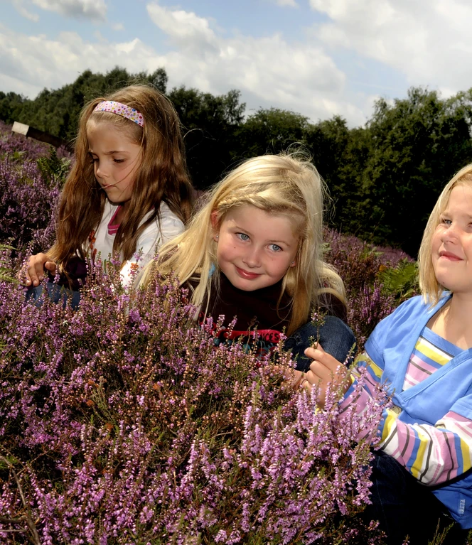 Emsland Moormuseum, Geeste – Exkursion Kinder Außengelände, Heideblüte 2014 ©Naturpark Moor-Veenland (44).jpg