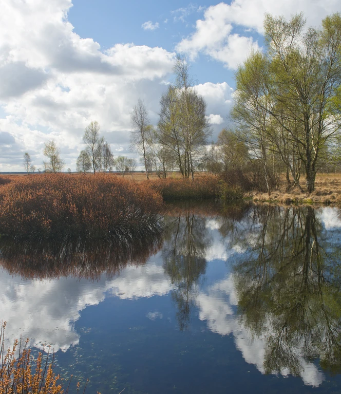 Moorlandschaft_NaturparkHuemmling ©Erhard Nerger.JPG