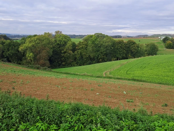 After-Work Tour auf der Entdeckerschleife Denkmalroute Hochdahl Grüne Felder und braune Ackerflächen erstrecken sich vor einer bewaldeten Hügellandschaft.