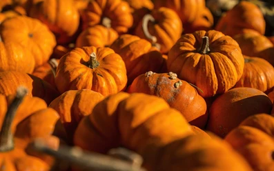 Herbstmarkt.jpg