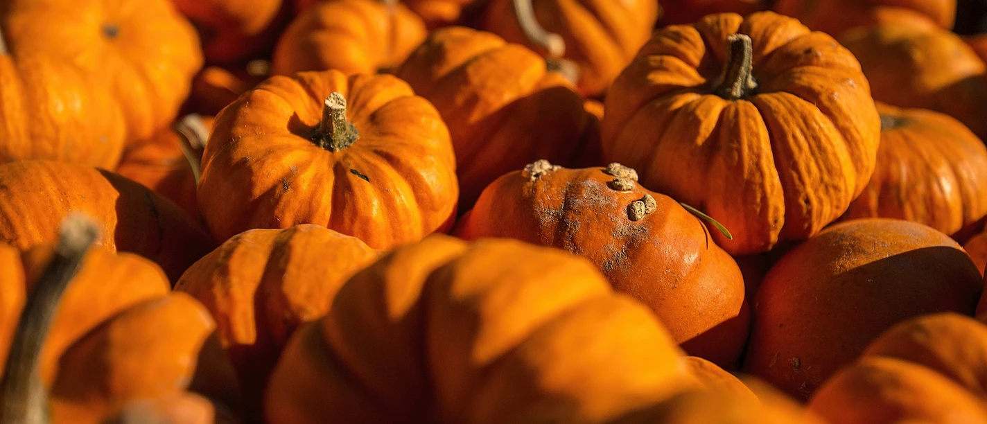 Herbstmarkt.jpg
