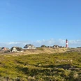 Hörnumer Leuchtturm hinter Heide