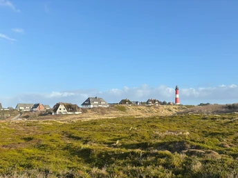 Hörnumer Leuchtturm hinter Heide