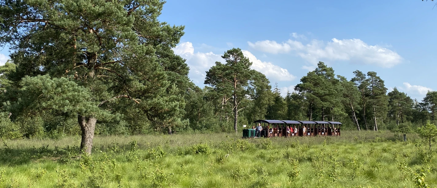 Moorbahnfahrt im Tister Bauernmoor Moorbahnfahrt im Tister Bauernmoor