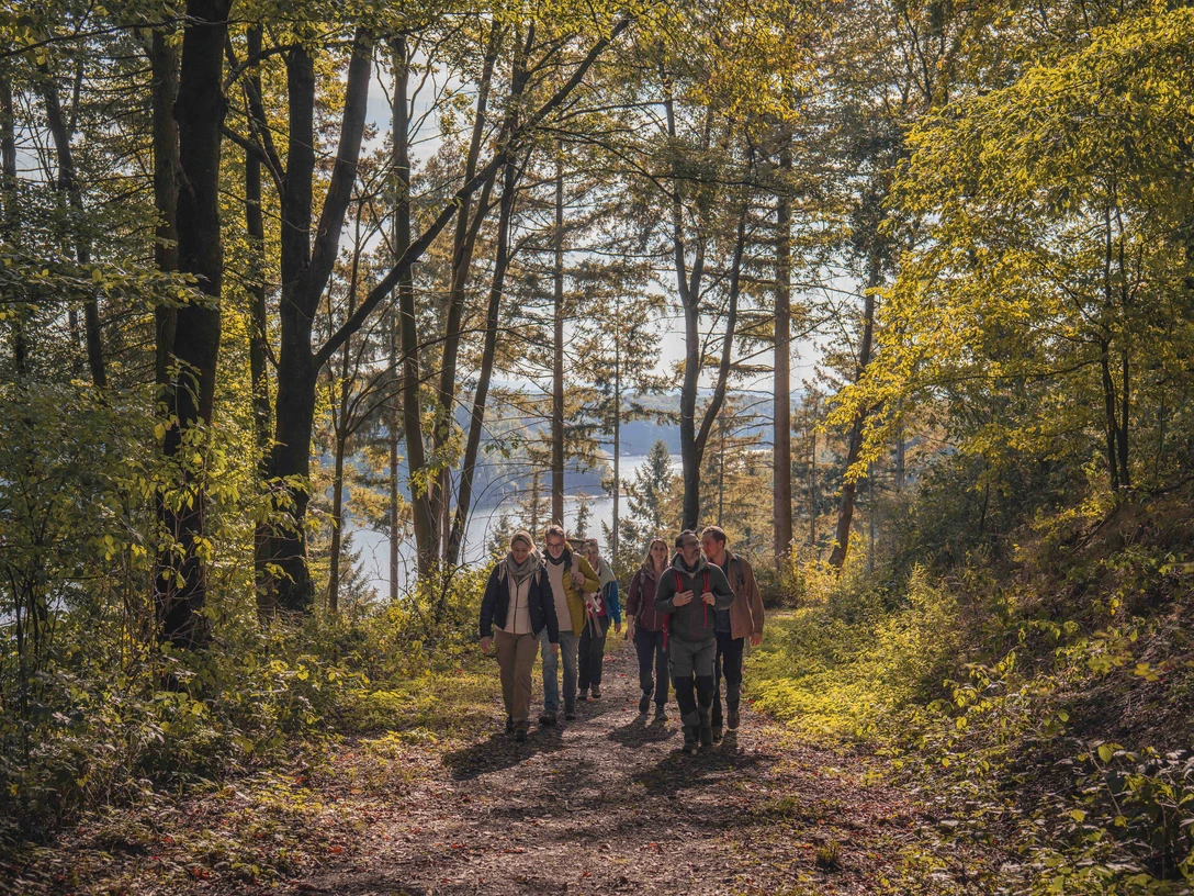 Bergische Wanderwoche Wandergruppe geht durch den Wald am Ufer eines Gewässers im Oberbergischen Kreis.
