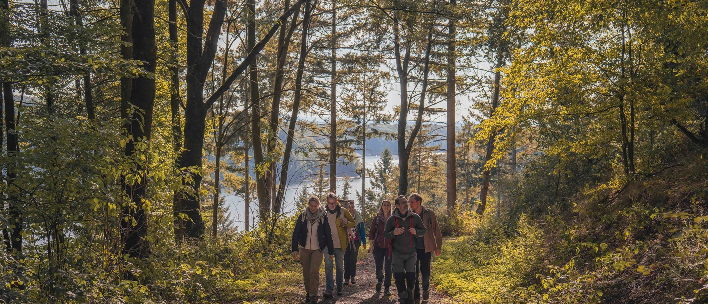 Bergische Wanderwoche Wandergruppe geht durch den Wald am Ufer eines Gewässers im Oberbergischen Kreis.