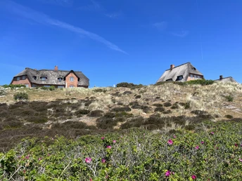 Reetdachhäuser in den Lister Dünen