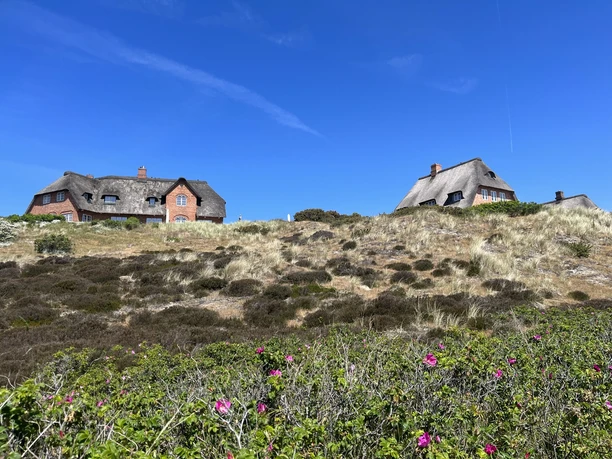 Reetdachhäuser in den Lister Dünen