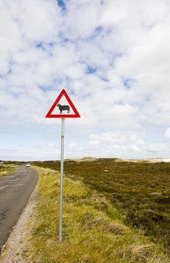 Listlandstraße zum Ellenbogen