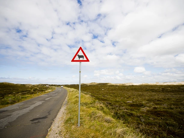 Listlandstraße zum Ellenbogen