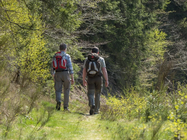 Wandern auf der Dill-Bergtour
