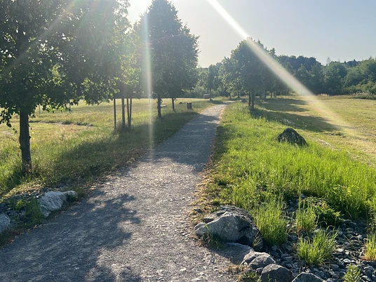 Wanderung durch Täler, Höhen und dem Eignerbach-Rundweg