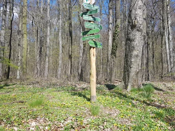 Landeskrone, Görlitz - Rundweg