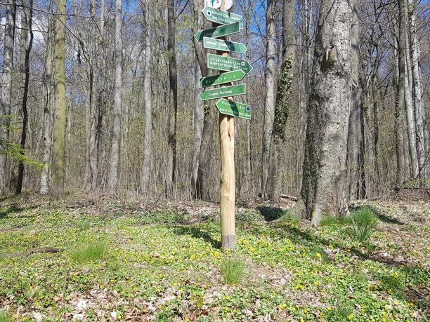 Landeskrone, Görlitz - Rundweg