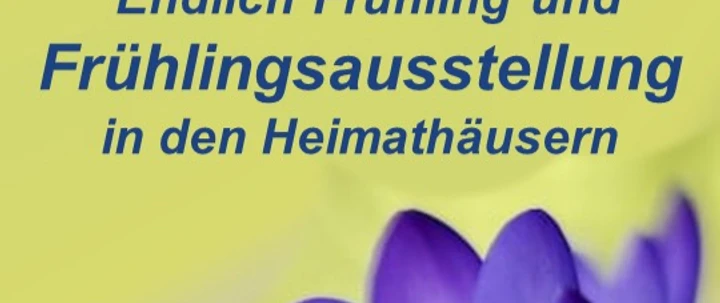 IMG_0724.jpeg Violette Krokusse vor gelbem Hintergrund mit Text zur Frühlingsausstellung in den Heimathäusern