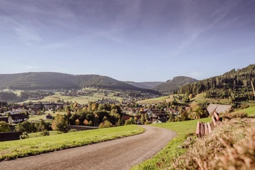 Ortsansicht von Mitteltal