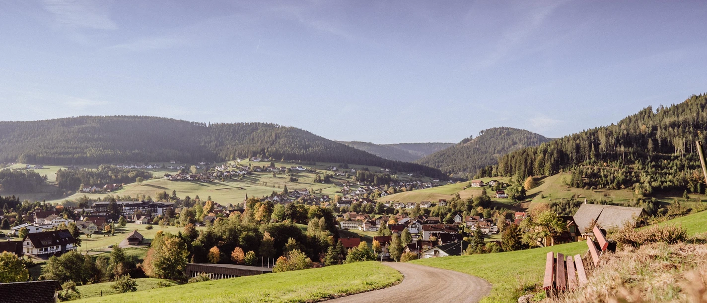 Ortsansicht von Mitteltal