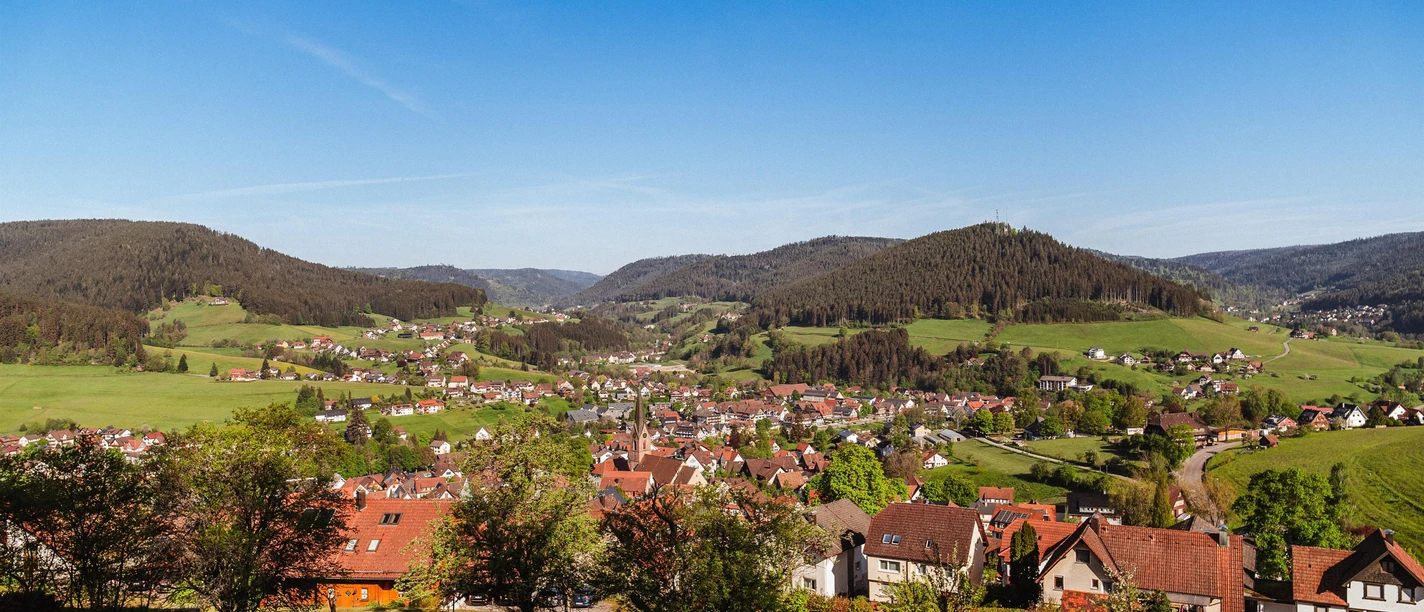 Ortsansicht von Baiersbronn