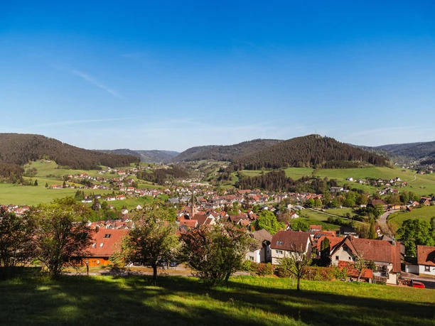 Ortsansicht von Baiersbronn