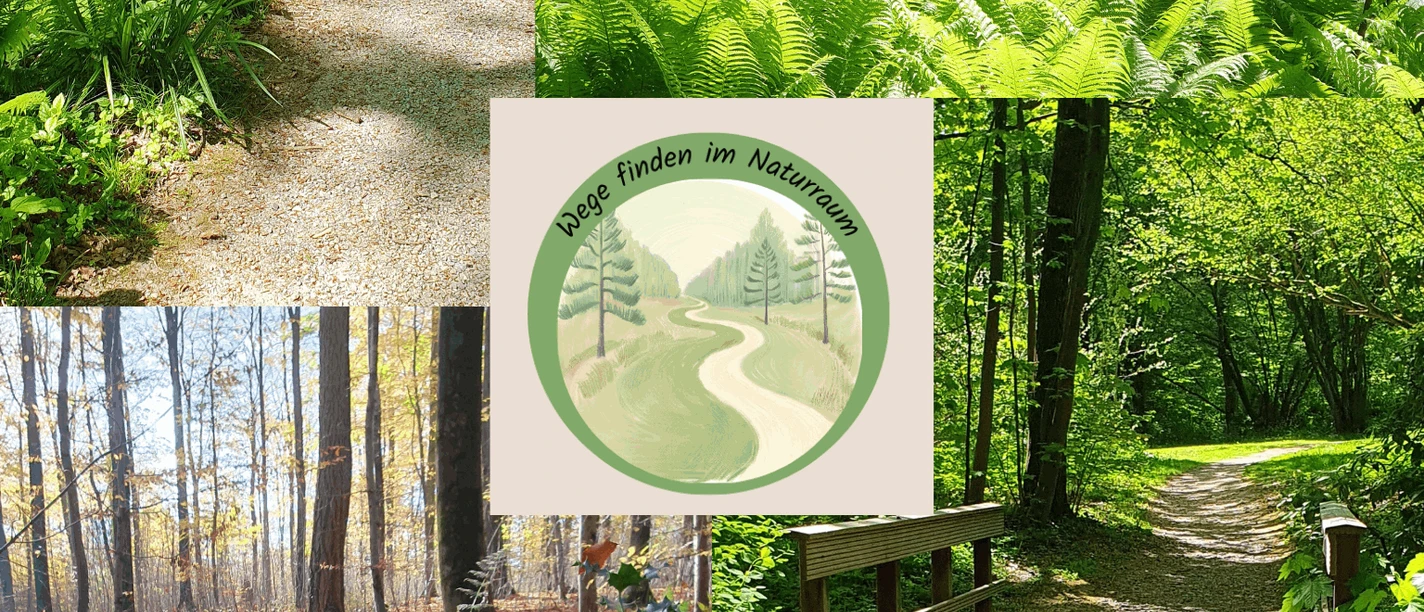 Collage mit Waldwegen, Farnen und Logo „Wege finden im Naturraum“