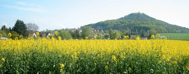 Landeskrone, Görlitz