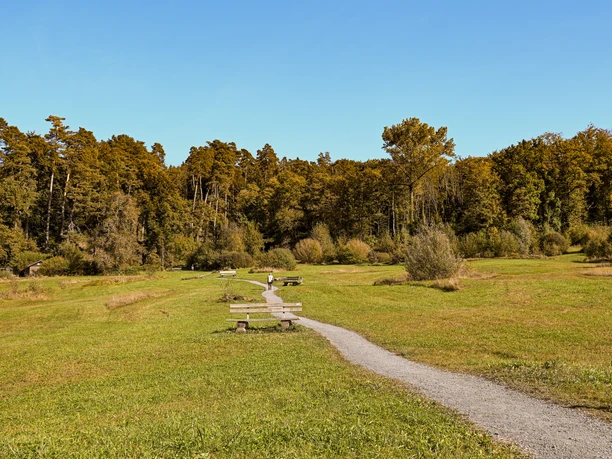 Aire de loisirs naturelle de l'Allmend