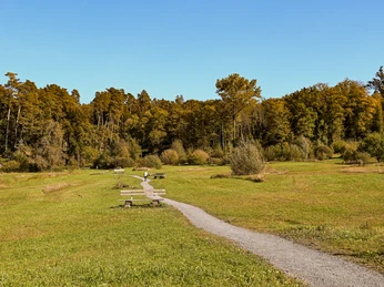 Allmend nature recreation area