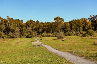 Naturerholungsgebiet Allmend