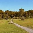Naturerholungsgebiet Allmend