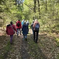 WandergruppehintenWald.jpg