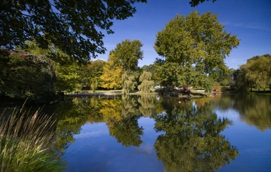 R1054_ (c) Helmut Gross_Erlebnis Bremerhaven.jpg Teich im Park Reinkenheide mit hohen Laubbäumen, Spiegelungen im Wasser und einzelnen Wasservögeln.