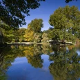 R1054_ (c) Helmut Gross_Erlebnis Bremerhaven.jpg Teich im Park Reinkenheide mit hohen Laubbäumen, Spiegelungen im Wasser und einzelnen Wasservögeln.