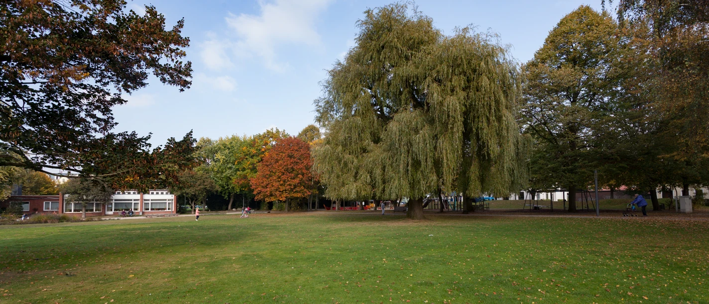 L1247 (c) Helmut Gross_Erlebnis Bremerhaven.jpg Weite Rasenfläche im Stadtpark Lehe mit alten Bäumen, Spielbereich und Spazierwegen.