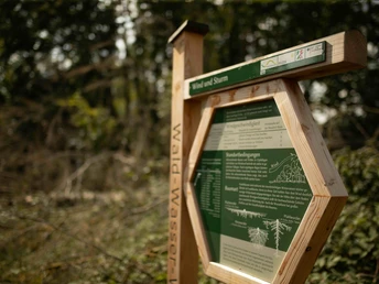 Wald-Wasser-Wandel-Weg