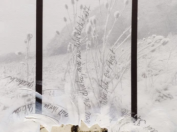 O.T._KuBa Insights Vol IV_Cameo