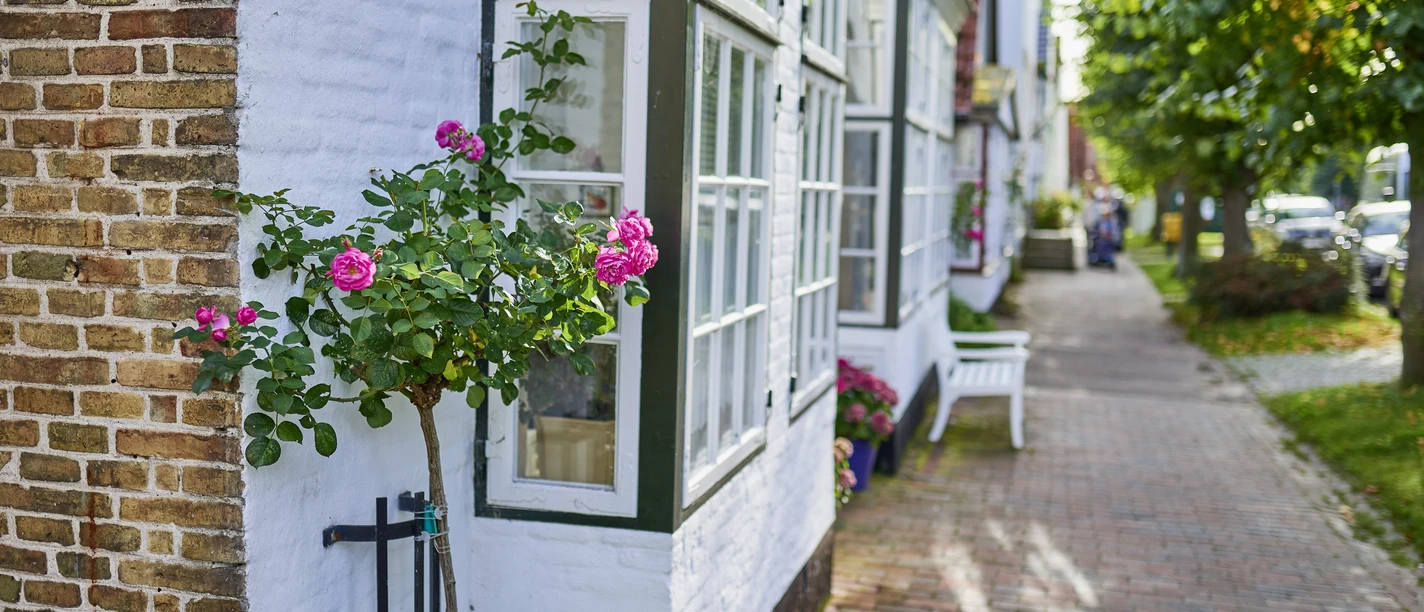 OFS_Arnis_Stefan_Polte (73).jpg