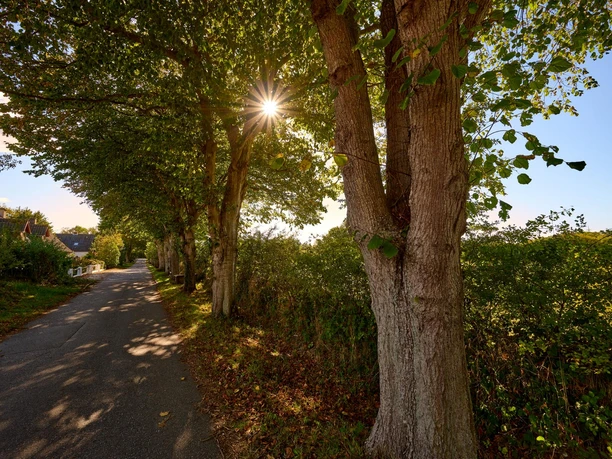 nieby-strasse-radtour-strandtoern