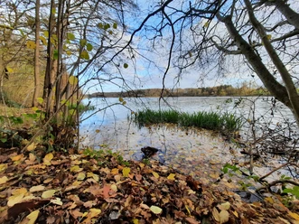 Langsee.jpg
