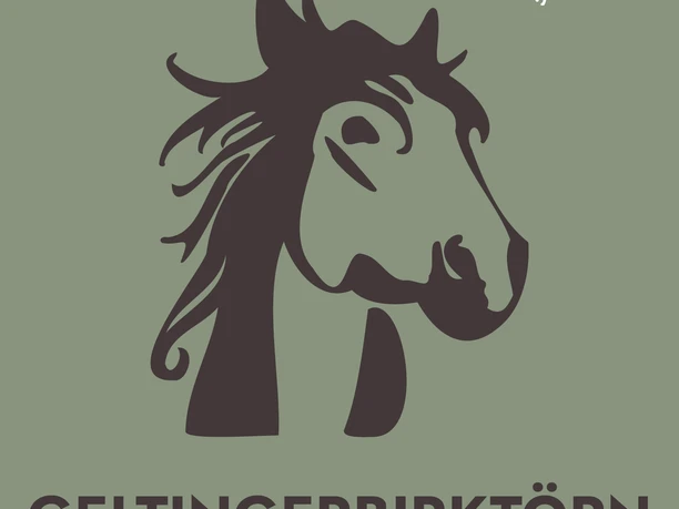 geltingerbirktoern_piktogramm
