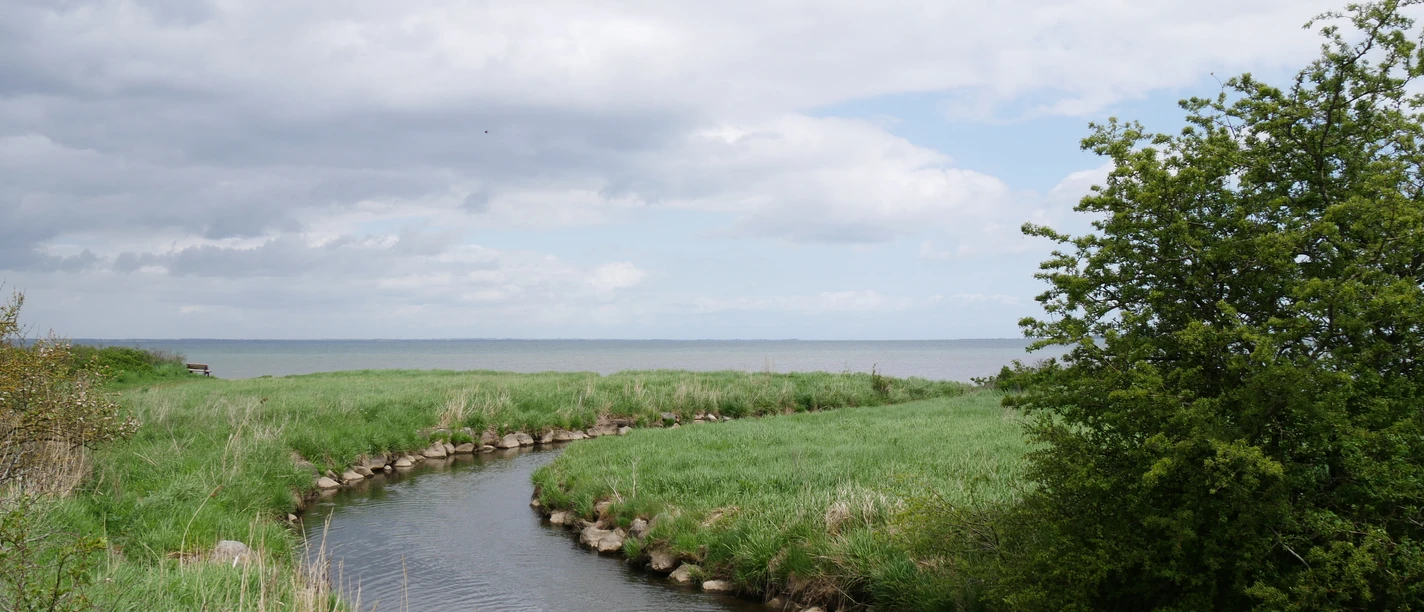 Ohrfeldhaff_Christina Matzen (2).JPG