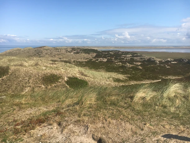 Blick auf den Ellenbogen