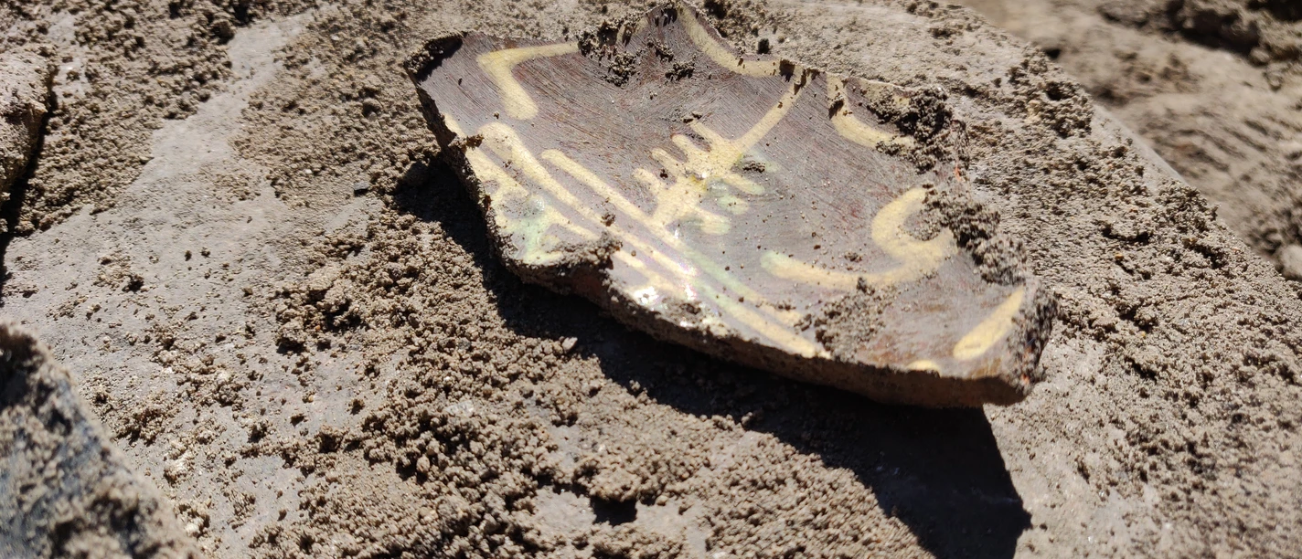 grabungsfuehrung-danewerk-museum2022-katja-brueckner (2).jpg