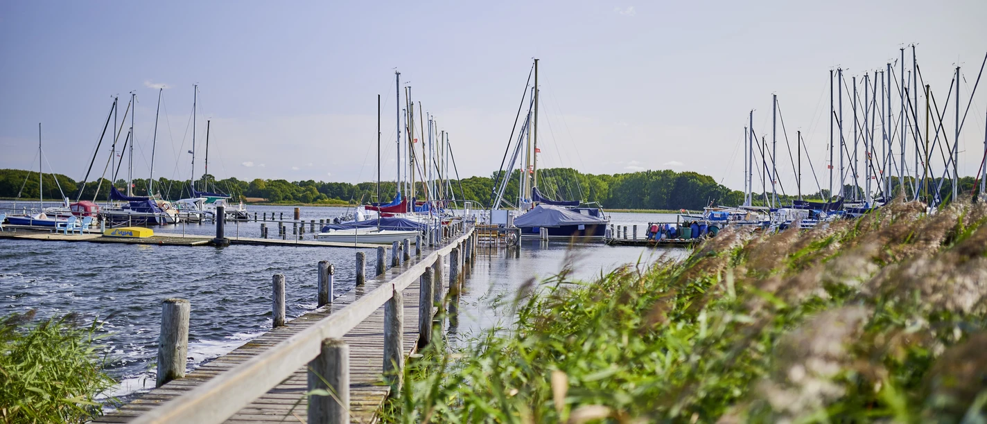 OFS_Lindaunis_Stefan_Polte (1).jpg