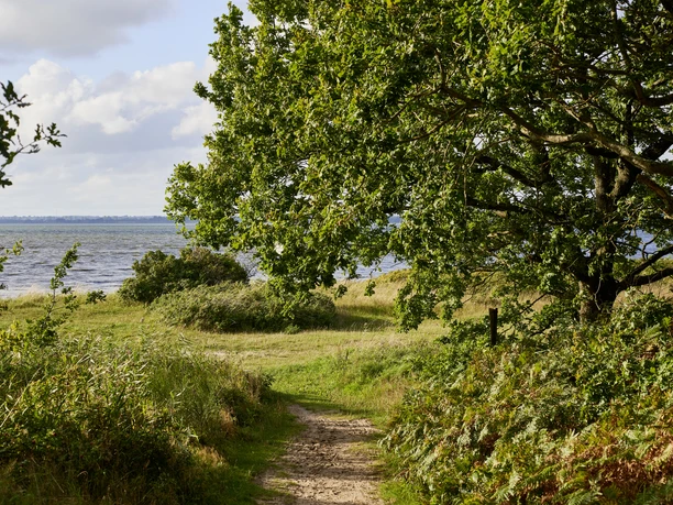 OFS_Große Breite Fleckeby_Stefan_Polte (4).jpg