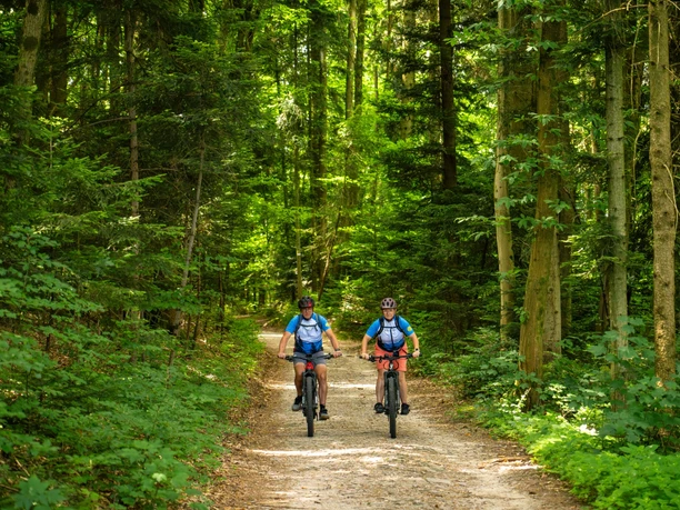 Zwei E-Bike Fahrer im Wald, sportlich angezogen