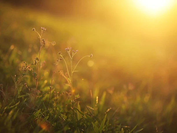 andalusian-sunset-6645036_640