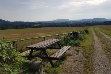 Panoramaweg_Rastplatz_AntoniaLudwig.jpg