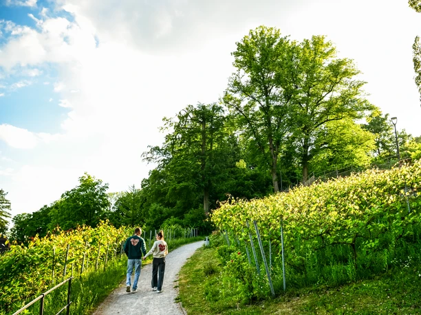 Winzersche-Gärten.jpg